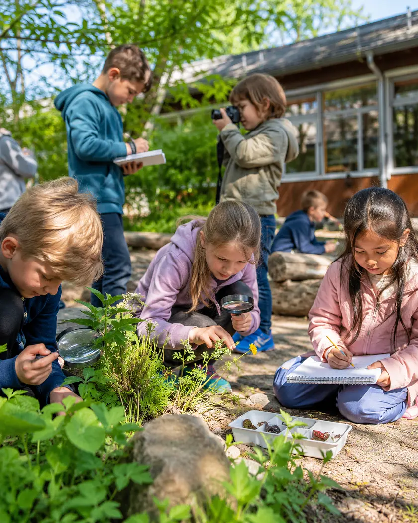 fiktives Projekt einer fiktiven Grundschule
